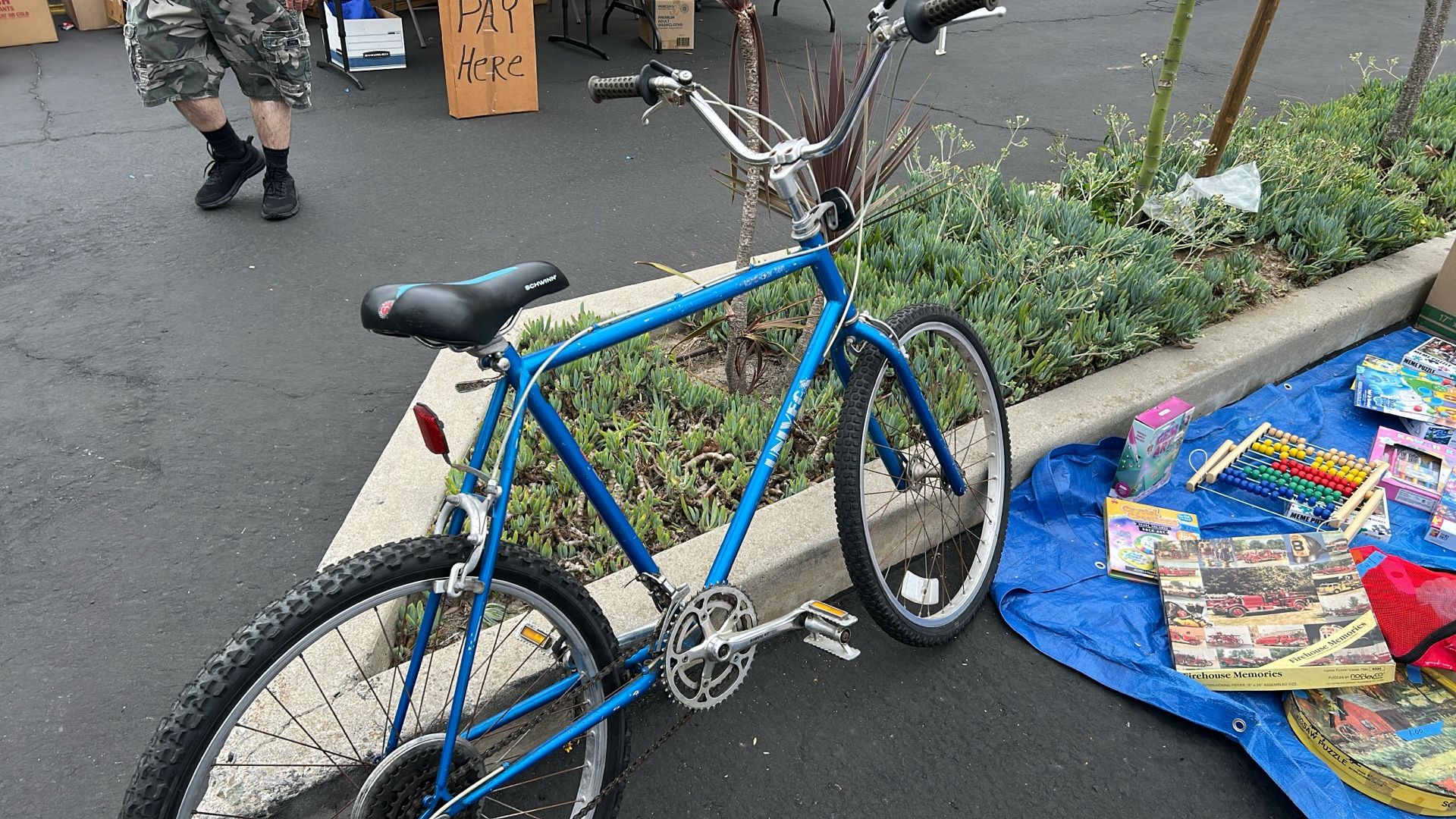 Schwinn Uni Vega bike