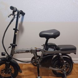Electric Folding Bike 