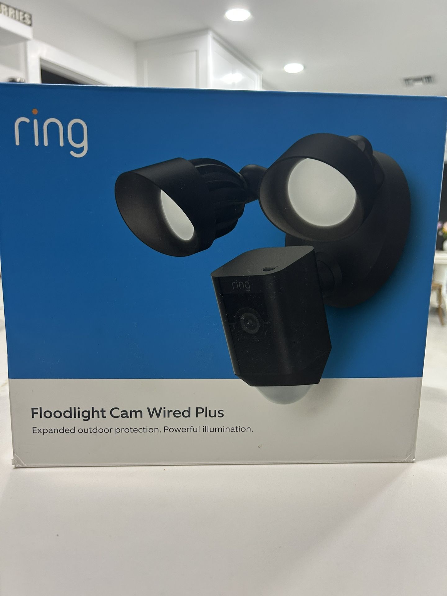 Ring floodlight