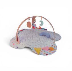 Baby Activity Play & Gym Mat