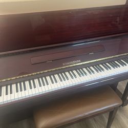 Schafer & Sons Piano
