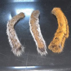 Squirrel Tails