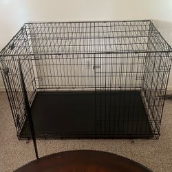 Large Dog Kennel
