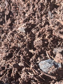 Soil [tierra] Non gmo raw earth elements soil bags