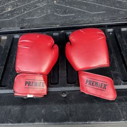 Premier Boxing Gloves