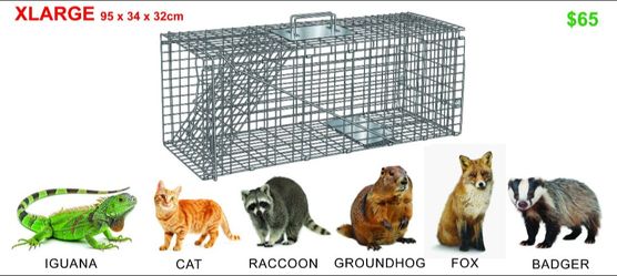 Animal Trap Cages Xlarge