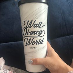 Walt Disney World Cup