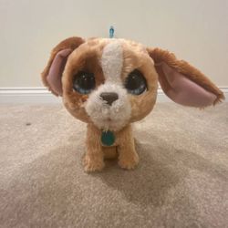 Dog Walking Toy