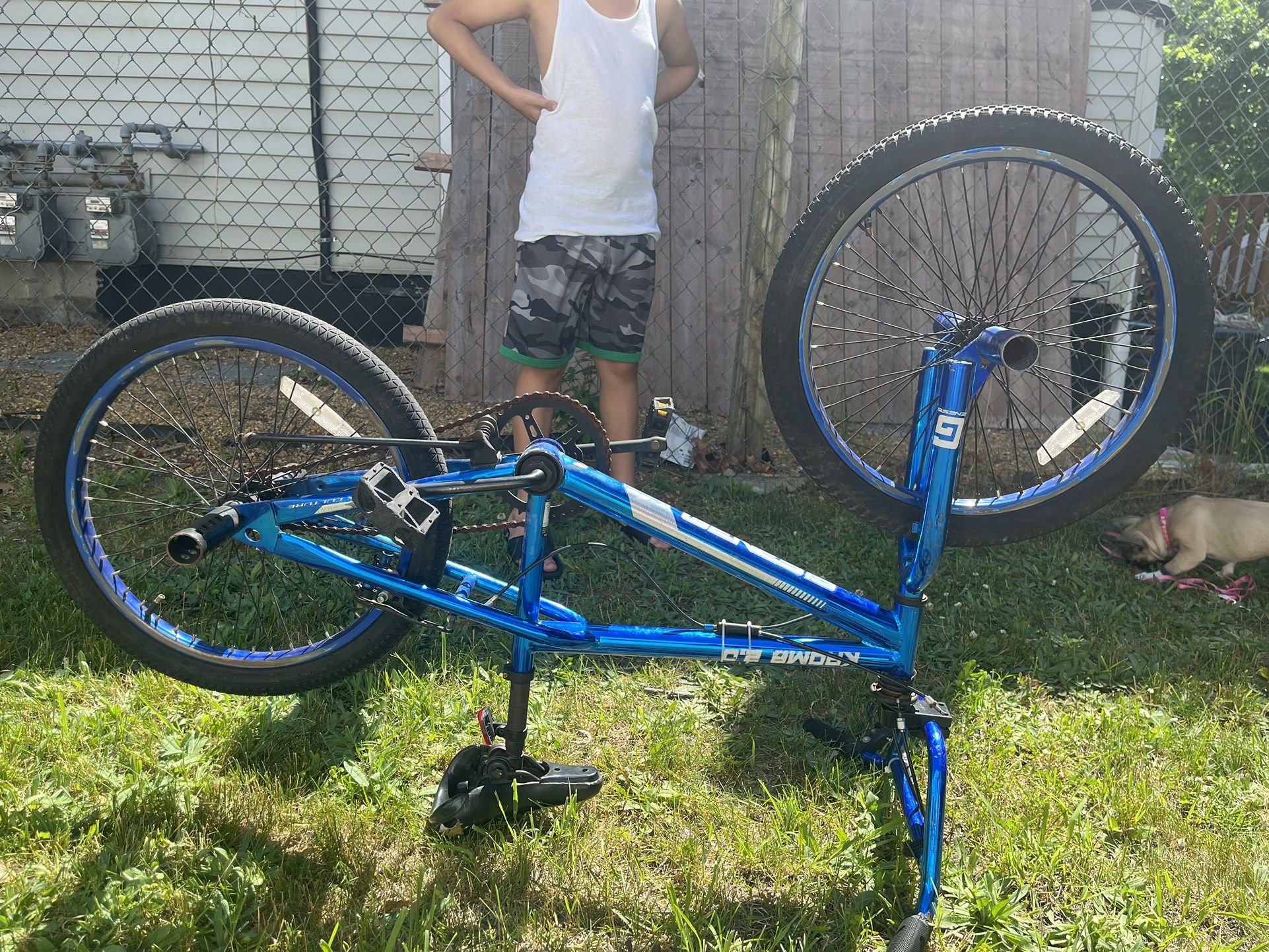Bmx Bike Krome Rides Good Just Needs brakes