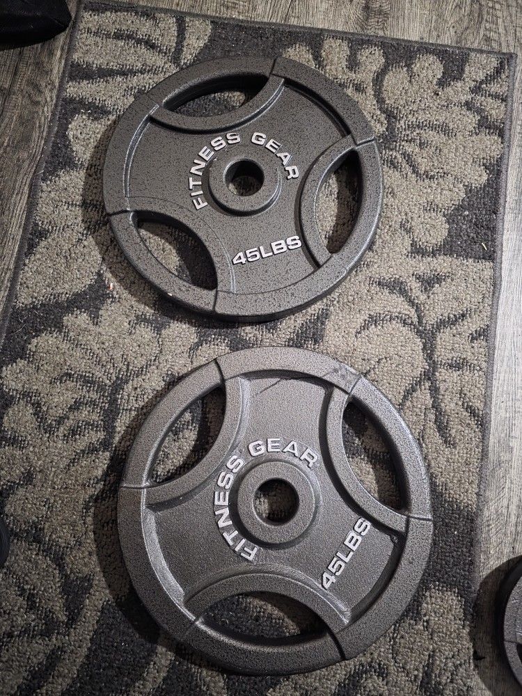 45 Lb Olympic Plates By Fitness Gear (Set 2)