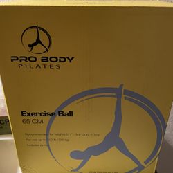 Pro Body Exercise Ball 65 CM