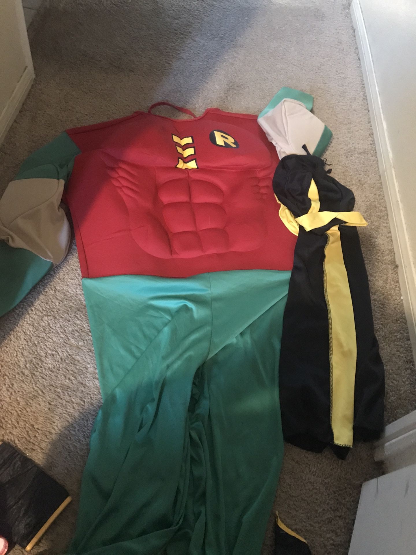 Robin costume men