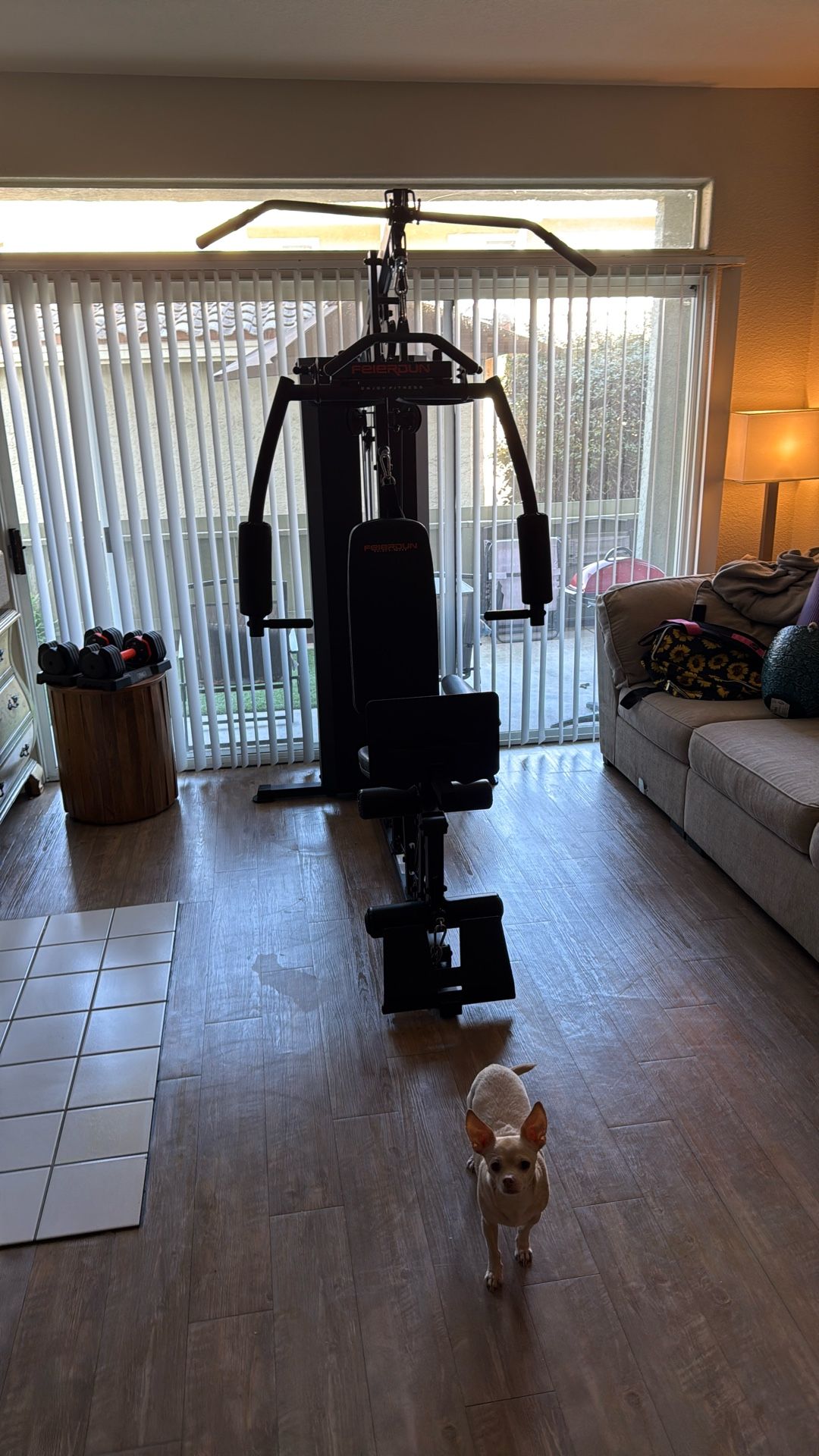 Gym Equipment 