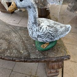 Pato De Cemento 