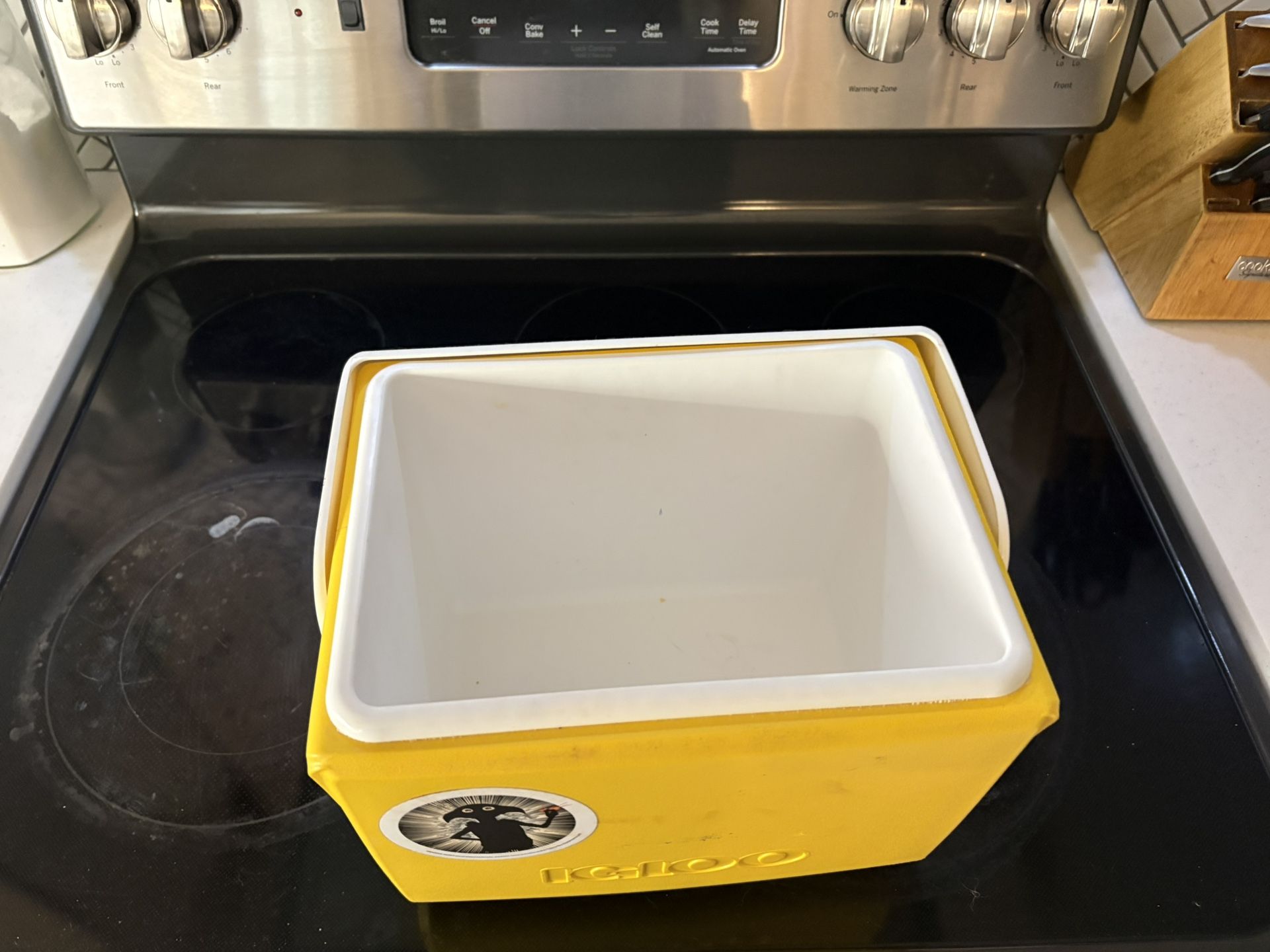 4qt Igloo