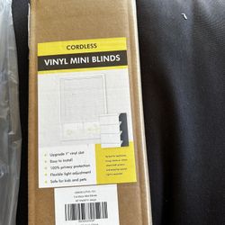 Vinyl Mini Blinds