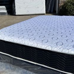 Queen Orthopedic Supreme