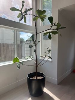 For sale