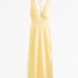 Abercrombie & Fitch - Plunge Cowl Back Maxi Dress