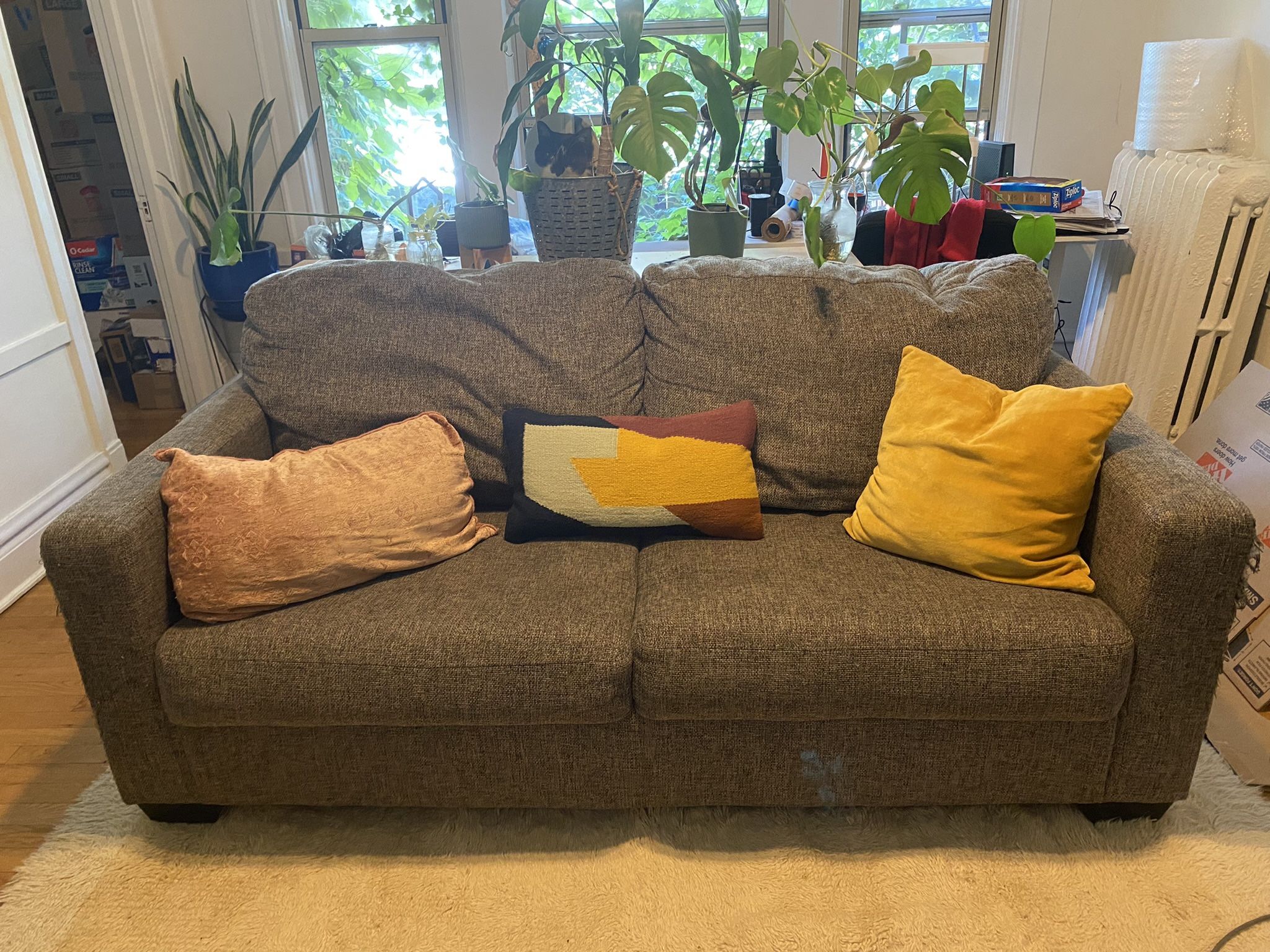 Comfy Grey Couch 