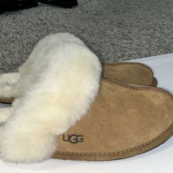 Ugg Slippers