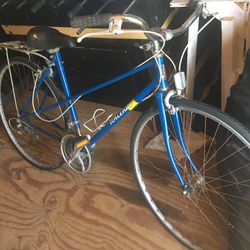Classic/vintage Raleigh 10 Speed Road Bike. 