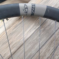 Carbon rim