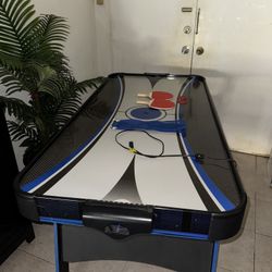 Hockey/Ping Pong Table