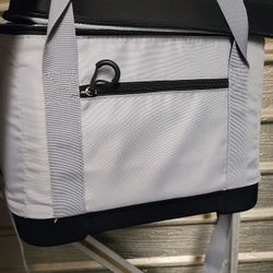 Small insulated cooler Bag