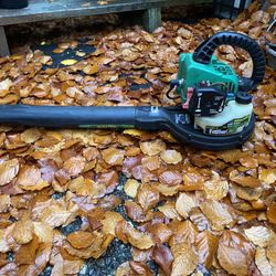 Leaf Blower 