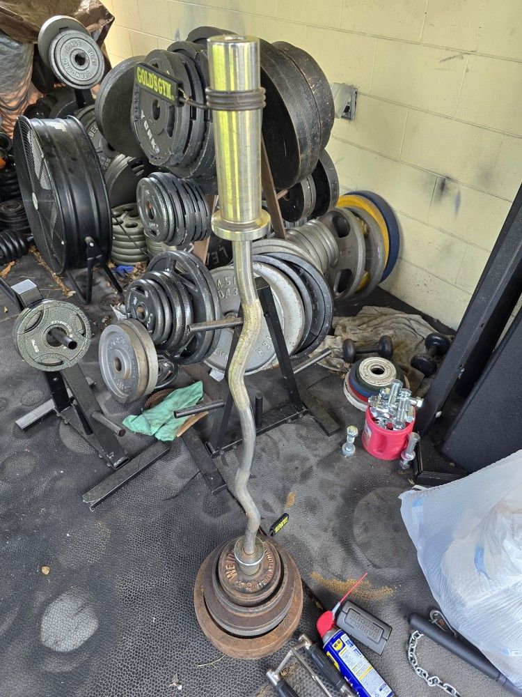 Weight Plates & Curl Bar