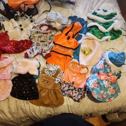 Dog Clothes