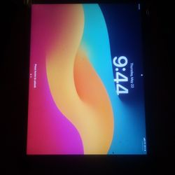 Ipad 9th Gen 64g