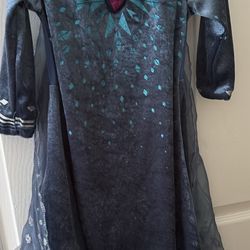 Elsa Dress From Frozen 