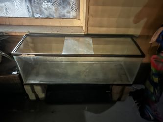 55 Or 60 Gallon Aquarium
