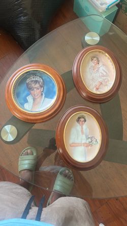 Princess Diana plate frames