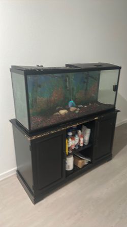 60 gallon aquarium with 2 cascade filters