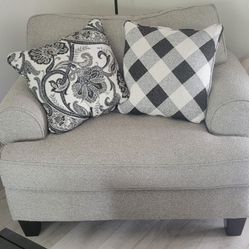 Furniture/ Couch/Chair