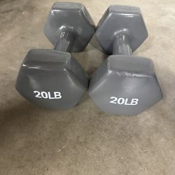 20lb Weight Set