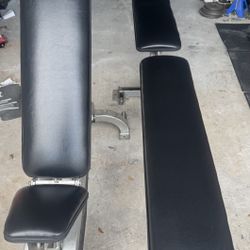 Cybex Adjustable Bench/ 2 Promaxima Flat Bench