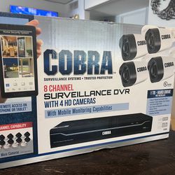 Cobra Surveillance System - 8 Channel