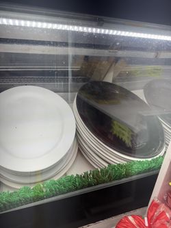 RESTAURANT DINING DISHES