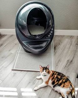 Litter Robot 3 PERFECT Condition. Comes with 80 waste bin liners