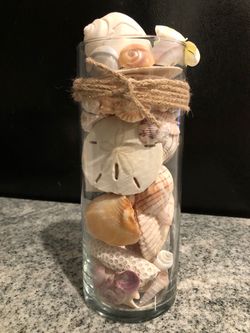 Seashells Glass Cylinder Table Center Piece
