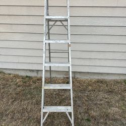 Aluminum 6’ Foldable Panthers Ladder With Tray 