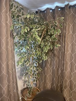 Artificial Plant
