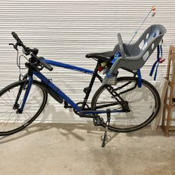 Bicycle Single Speed