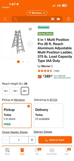 Extendable Ladder
