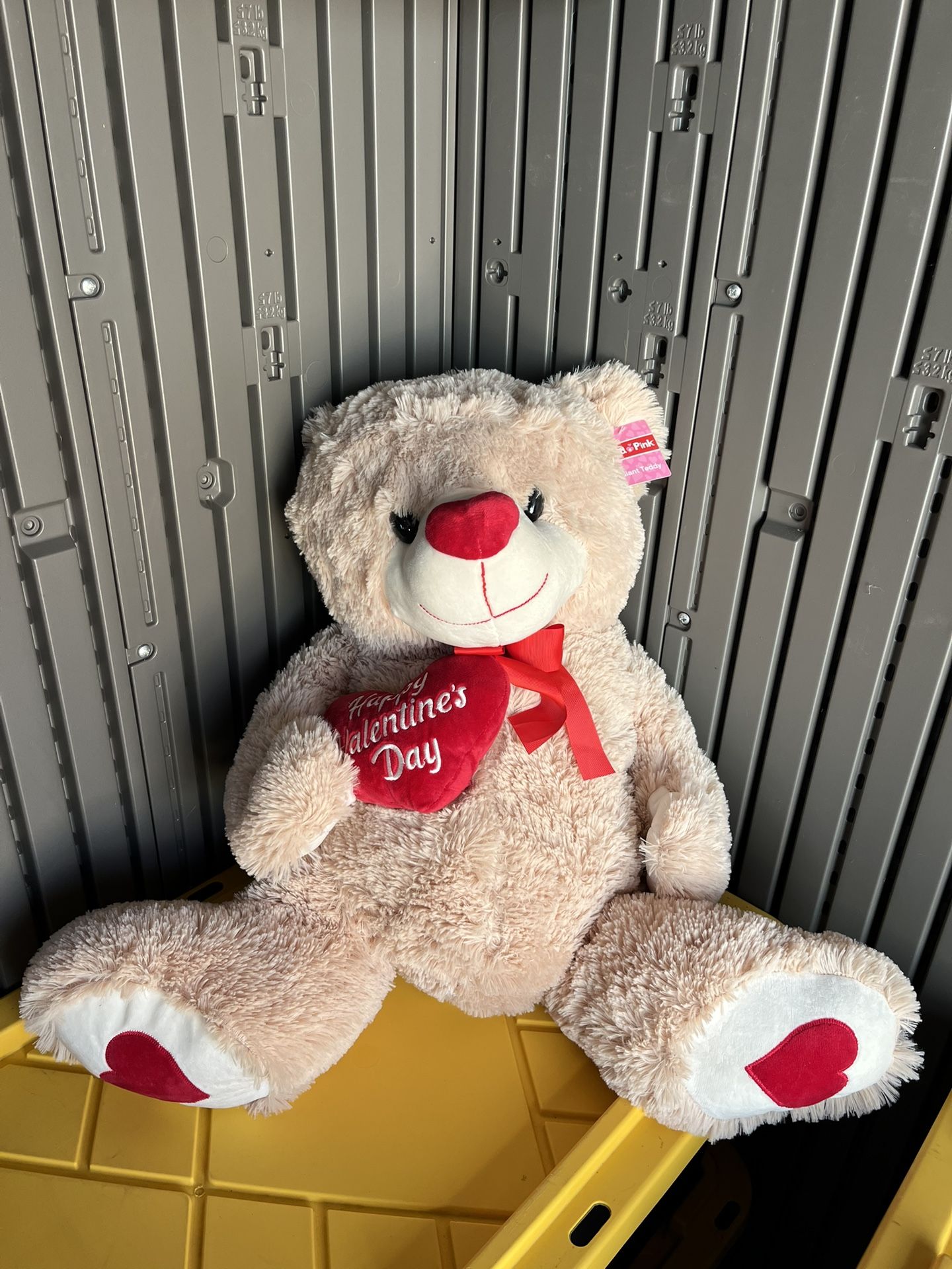 New Big Teddy Plushie