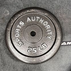 ONE 25 LB SOLID BARBELL WEIGHT FOR SALE 